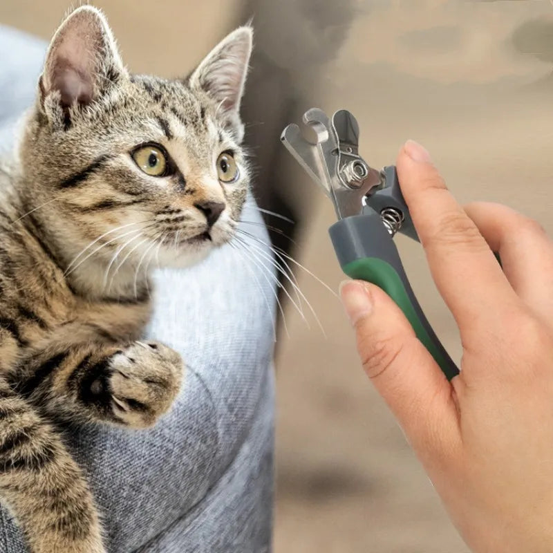Dog Nail Clippers Stainless Steel Dog Scissors Multicolor Dogs Nailclippers Pet Grooming Cat Nail Clippers Trimmer Pet Products
