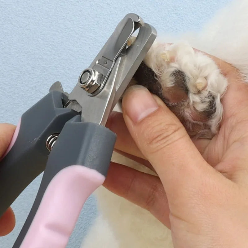 Dog Nail Clippers Stainless Steel Dog Scissors Multicolor Dogs Nailclippers Pet Grooming Cat Nail Clippers Trimmer Pet Products